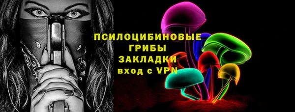 ПСИЛОЦИБИНОВЫЕ ГРИБЫ Алексеевка
