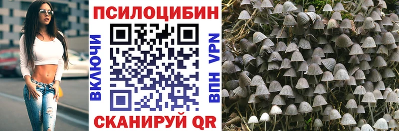где можно купить наркотик MEGA ONION Галлюциногенные грибы MAGIC MUSHROOMS Кукмор