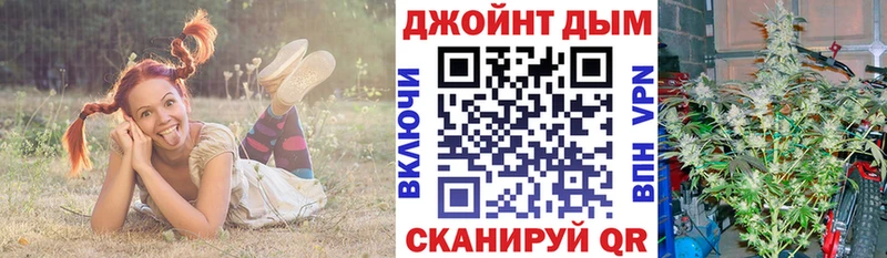 Каннабис AK-47  магазин продажи   Кукмор 